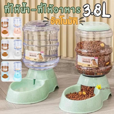 เครื่องให้น้ำ เครื่องให้อาหาร ที่ให้น้ำอัตโนมัติ ที่ให้อาหารแมว (ราคา/1ชิ้น)