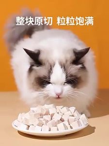 WaggyWaggy Chicken Booster Gemok Repacked Freeze-Dried  Snacks Cat Dog Gemuk SNA0005