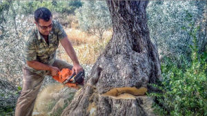 เลื่อยยนต์ เลื่อยไฟฟ้า เลื่อยน้ำมันเบนซินกำลังสูง 20นิ้ว/22นิ้ว เครื่องเลื่อยไม้ เลื่อยยนต์ตัดไม้ เลื่อยโซ่ยนต์ความเร็วรอบการตัดสูง คมกริบไร้ที่ติ ตัดไม้ได้ส (มีสินค้าอยู่ที่กทม)