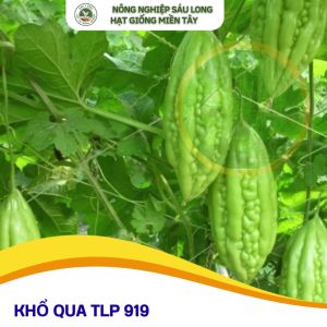 GÓI 100 HẠT KHỔ QUA 919 -TÂN LỘC PHÁT- trái có màu xanh nhạt bóng chắc trái
