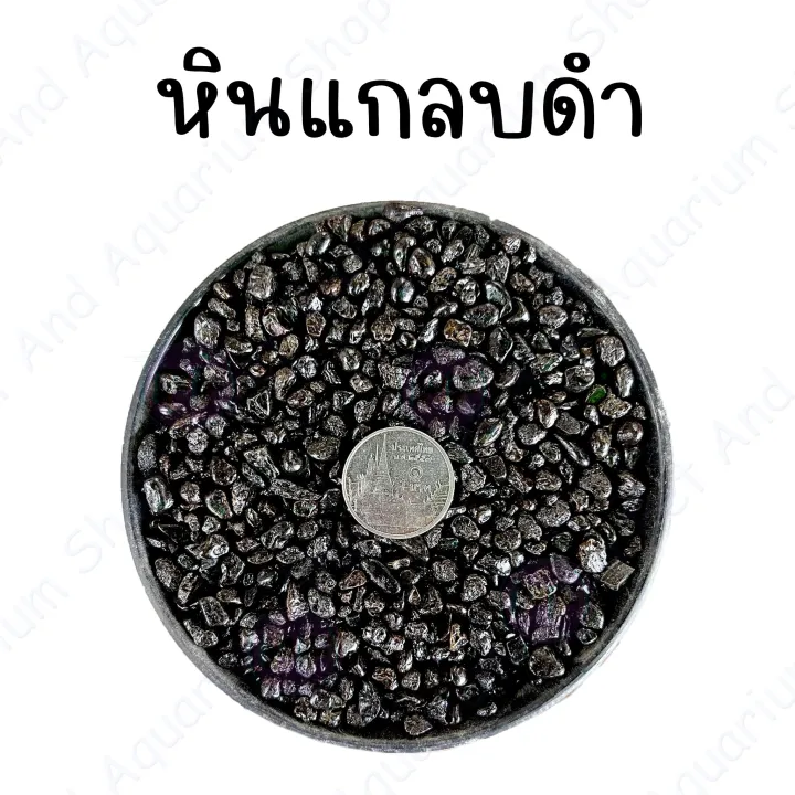 www.lazada.co.th