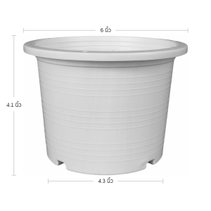 กระถาง กระถางต้นไม้ ทรงกลม เบอร์ 6 นิ้ว สีขาว Bundle 50 ใบ ชิ้น อัน
