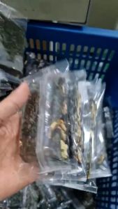 { GIÁ RẺ HỦY DIỆT } 1KG 500g Rong biển kẹp hạt dinh dưỡng loại siêu hạt Rong biển kẹp hạt loại mini