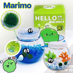 COD Marimo ชุดพร้อมเลี้ยงมาริโมะ เหมาะสำหรับให้เป็นของขวัญสำหรับคนที่รัก มาริโมะ มอสบอล ส่งมาจากกรุงเทพฯ