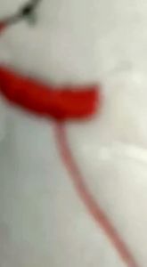 Tinggal Setrika: Patch Bordir Snoopy & Stiker Bordir Premium