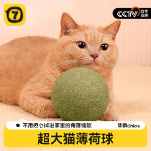 oversized 10cm catnip ball self-hi to relieve boredom catnip molars toy mint ball insect gall fruit big ball