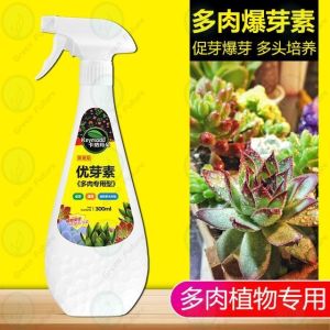 【READY TO STOCK】多肉植物 优芽素 促芽矮  爆芽 爆仔 胖素 防徒长组合大促  卡纳玛朵多   Eugenin blastocyst succulent fertilizer