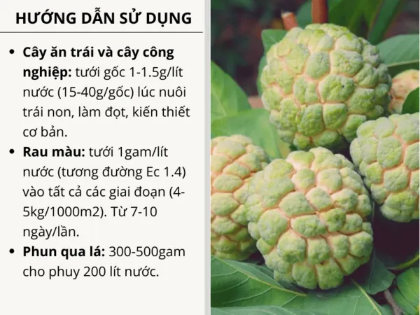 Ph%C3%A2n%20b%C3%B3n%20t%C6%B0%E1%BB%9Bi%20nh%E1%BB%8F%20gi%E1%BB%8Dt%20NPK%2020-20-20%20+TE%20t%C3%BAi%205kg%20-%20Image%207