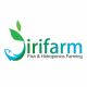 Jirifarm Hidroponik.