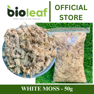 White Moss is Dried Naturally 100% Organic natural Minerals Potassium Nitrogen for Plant