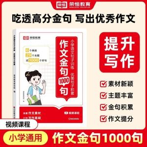 正版 作文金句1000句 小学通用『小学语文句子训练 优美句子积累 吃透高分金句 写出优秀作文』