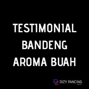 Umpan Pelet Bandeng Butiran Stella Product Aroma Buah 1pcs 80gram Best Seller 60PCS Gratis 3pcs