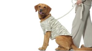 Toby II - The Perfect Tee 3 Pack Short SleeveT-Shirt 100% Organic Cotton Tees Clothes for Small Medium Large Dogs ​ ​  Sage Camo Small