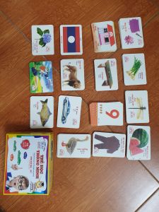 Bộ 416 Thẻ Học Flashcard Thông Minh Song Ngữ Anh - Việt Cho Bé 16 Chủ Đề 7x10 cm Có Phiên Âm Giúp Bé Phát Triển Ngôn Ngữ
