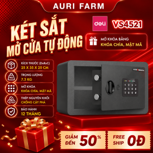 Két Sắt Mini DELI VS4521 Mật Khẩu Chìa Khóa Két Sắt Điện Tử Thông Minh Chống Cưa Cắt Chống Cháy An Toàn