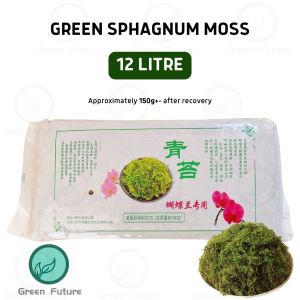 HIGH QUALITY SPHAGNUM MOSS ORCHID GARDEN PLANT 水苔 兰花水苔