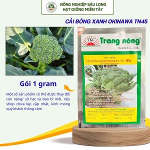 GÓI 1 GRAM - HẠT GIỐNG CẢI BÔNG XANH TN45