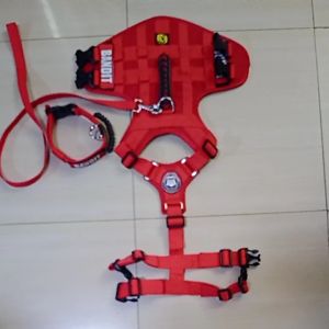 PROJECT K9 - (SET) FULL BODY HARNESS WITH COLLAR AND 1M LEASH