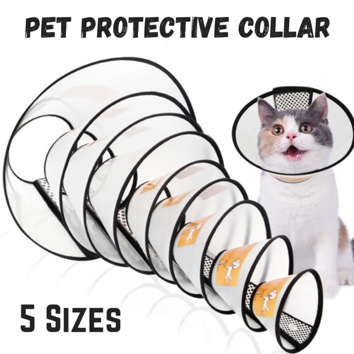 Cat neck hot sale wound protection