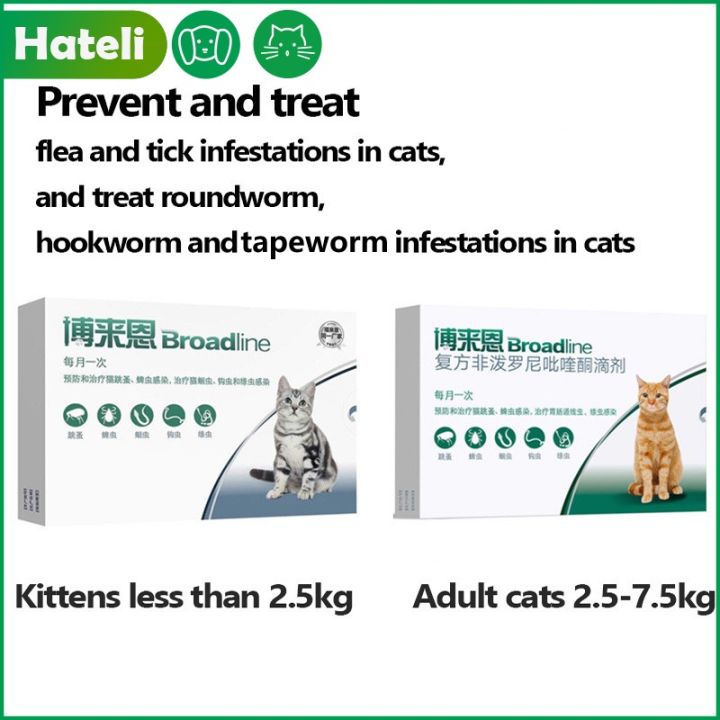 Snapshot of Flea Embeding Treatment For Cats With Flea Roundworms