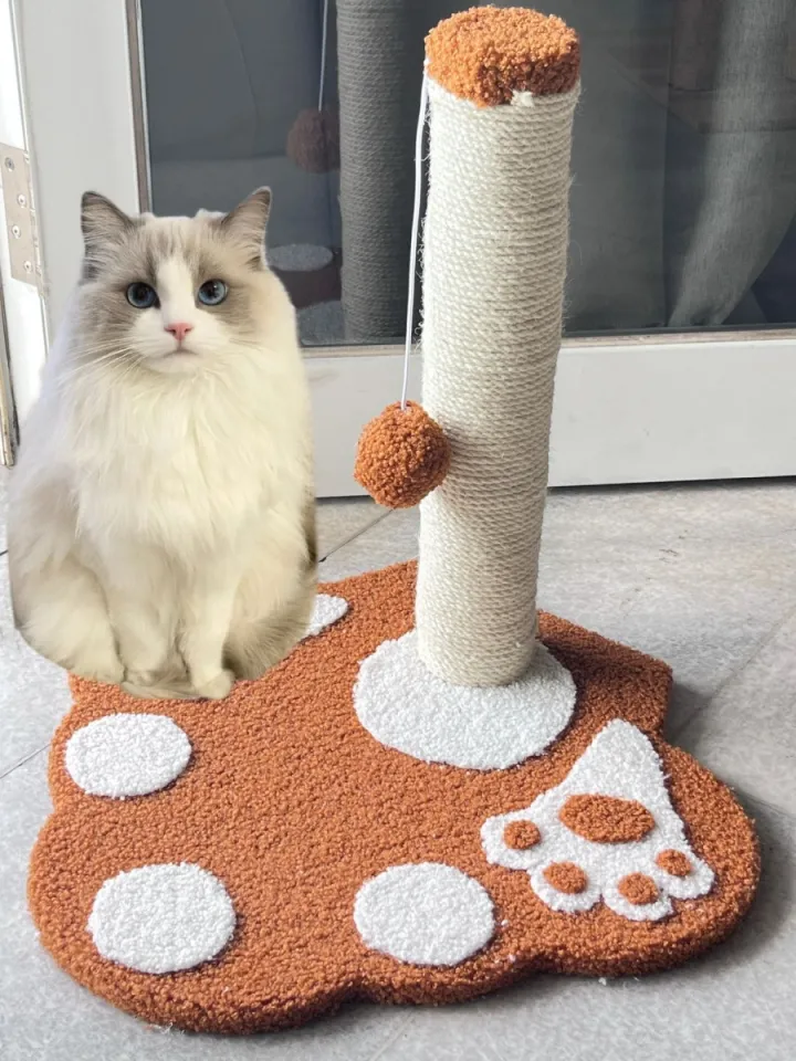 Cat Scratcher Board Tempat Tidur Kucing Mainan Kucing Cat