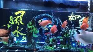 【Ship in 24H】鱼缸假山装饰摆造景水草套餐客厅水族想金鱼缸石头大型小型创意Fish tank rockery decorative pendulum landscaping water grass set living room csptf264754029820250825