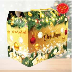 Christmas Gift Box / Festival Gable Box / Christmas Doorgift Box / Goodies Box