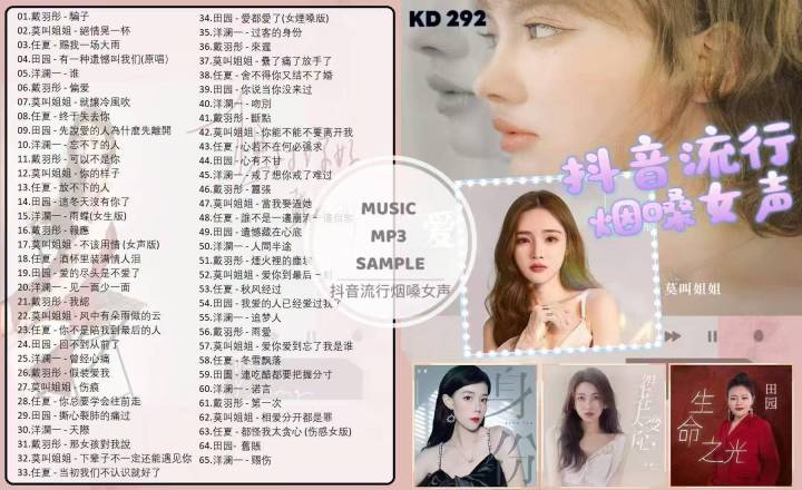 USB PENDRIVE KD292 Chinese Song 抖音流行烟嗓歌曲