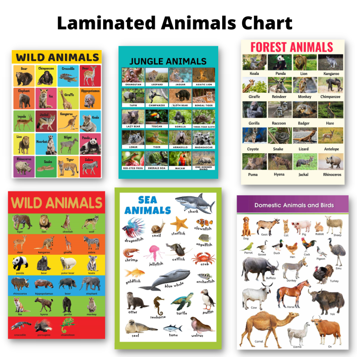 Laminated Animal Charts for Kids and Learners, Farm Animals, Domestic ...