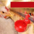 Máng Uống Tự Động Cho Gà Máng Uống Nước Tự Động Cho Chim Cút Máng Nước Cho Gà. 