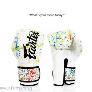 Fairtex Muay Thai "Painter" Boxing Gloves