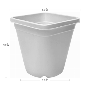 กระถาง กระถางต้นไม้ สี่เหลี่ยม เบอร์ 5 4.8 นิ้ว สีขาว 100 ใบ ชิ้น อัน