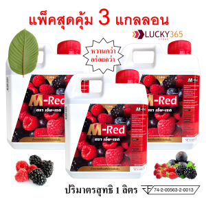 ส่งฟรี !! แพ็ค แกลลอน 1 ลิตร แพ็ค 3 แกลลอน !! M- Red (เอ็ม-เรด) น้ำหวานกลิ่นผลไม้รวมเข้มข้น บรรจุ 1 ลิตร ผสมท่อมได้