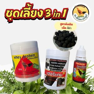 ชุดเลี้ยง 3in 1 ขนาดปกติ ลูกกลอน เวย์ไก่ ทองแดง