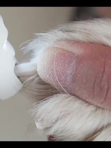 USB Charging Quiet Electric Dog Nail Grinder For Trimming And Maintaining Nails Of All
