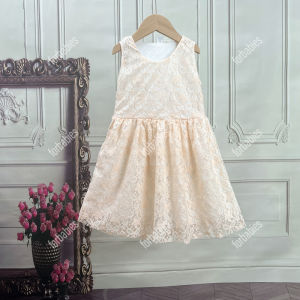 Baby girl Dress Sleeveless lace princess dress baptismal birthday party Elegance dress for kids girl