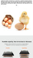 220V/12V Eggs Incubator 12/24/48/64/130 Eggs Automatic Chicken Egg Incubator Constant Temperature Incubator Auto Turning Hatcher Chicken Duck Goose Quail Bird Humidity Temperature Control Dual power supply Egg Incubator Fully Automatic Egg Automatic. 