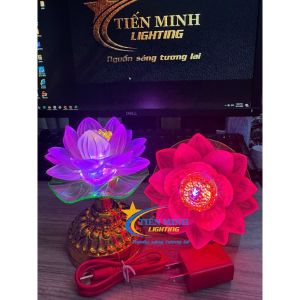 [GIÁ 1 CÂY] ĐÈN LED SEN LƯU LY ĐỔI MÀU CAO 14CM DÙNG ĐIỆN HOẶC DÙNG PIN - TẶNG KÈM 3 PIN AA