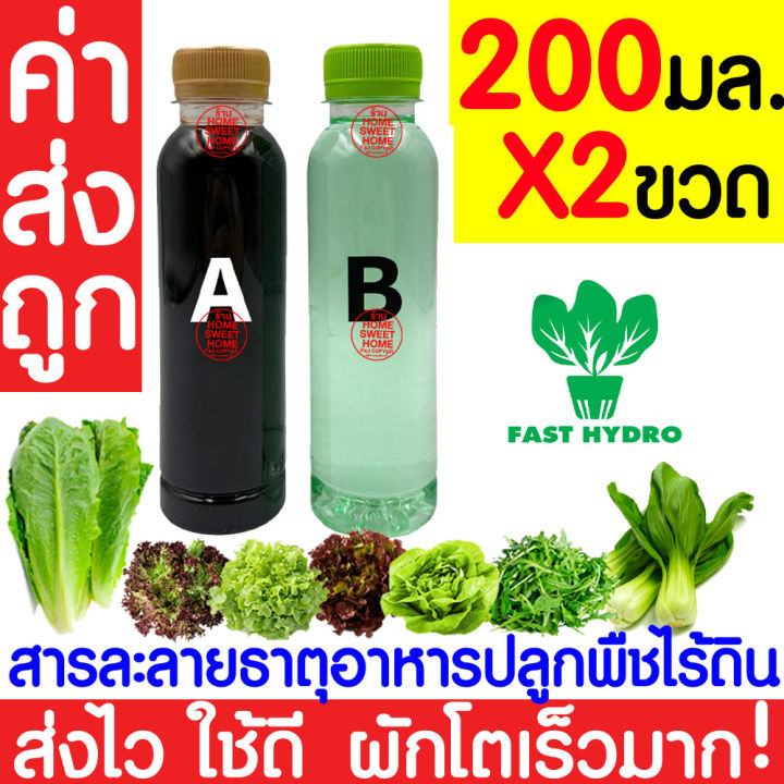 *%E0%B8%84%E0%B9%88%E0%B8%B2%E0%B8%AA%E0%B9%88%E0%B8%87%E0%B8%96%E0%B8%B9%E0%B8%81*%20%E0%B8%AA%E0%B8%B2%E0%B8%A3%E0%B8%A5%E0%B8%B0%E0%B8%A5%E0%B8%B2%E0%B8%A2%20AB%20%E0%B9%84%E0%B8%AE%E0%B9%82%E0%B8%94%E0%B8%A3%E0%B9%82%E0%B8%9B%E0%B8%99%E0%B8%B4%E0%B8%81%E0%B8%AA%E0%B9%8C%20%E0%B9%80%E0%B8%AD%E0%B8%9A%E0%B8%B5%20%E0%B8%98%E0%B8%B2%E0%B8%95%E0%B8%B8%E0%B8%AD%E0%B8%B2%E0%B8%AB%E0%B8%B2%E0%B8%A3%20%E0%B8%99%E0%B9%89%E0%B8%B3%20%E0%B8%9C%E0%B8%B1%E0%B8%81%E0%B9%84%E0%B8%AE%E0%B9%82%E0%B8%94%E0%B8%A3%20Hydroponics%20%E0%B8%AA%E0%B8%A5%E0%B8%B1%E0%B8%94%20%E0%B8%9C%E0%B8%B1%E0%B8%81%E0%B9%84%E0%B8%97%E0%B8%A2%20%E0%B8%9C%E0%B8%B1%E0%B8%81%E0%B8%81%E0%B8%B2%E0%B8%94%20%E0%B8%9C%E0%B8%B1%E0%B8%81%E0%B8%88%E0%B8%B5%E0%B8%99%20%E0%B8%9B%E0%B8%A5%E0%B8%B9%E0%B8%81%E0%B8%9E%E0%B8%B7%E0%B8%8A%E0%B9%84%E0%B8%A3%E0%B9%89%E0%B8%94%E0%B8%B4%E0%B8%99%20%E0%B8%9B%E0%B8%A5%E0%B8%B9%E0%B8%81%E0%B8%9C%E0%B8%B1%E0%B8%81%E0%B9%84%E0%B8%AE%E0%B9%82%E0%B8%94%E0%B8%A3%20-%20Image%203