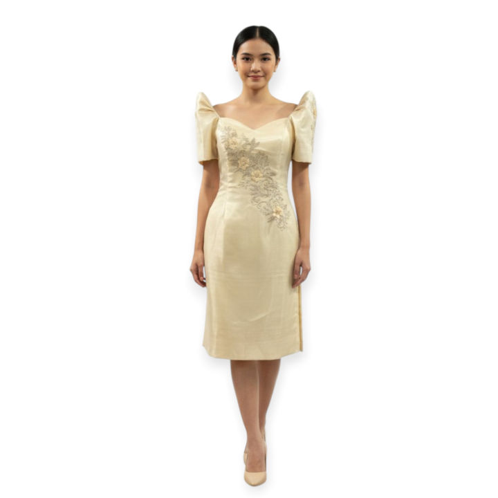 Modern Filipiniana Fitting Midi Dress Below the knee Lazada PH