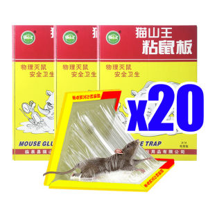 ติดไว้หนูหนีไม่พ้น100% MSW แบบสำเร็จรูป กาวดักหนู ซื้อ1แถม10 อุปกรณ์กำจัดหนูมืออาชีพยี่ห้อเก่ากว่า 30 ปี กาวดักหนูถาด กาวนำเข้าจากเยอรมัน กาวดักหนู แน่นๆ เหนียวสุดๆ กระดาษหนาขึ้นใหญ่ขึ้น ไร้สารพิษ หนู จิ้งจก ตุ๊กแก แมงมุม แมลงสาบ ติดได้ กาวดักหนูใหญ่