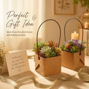 ANANAA 10Pcs Foldable Succulent Plant Boxes Carry Handles Waterproof Mini Flower Pots  Kraft Paper Kraft Paper Plant Pots Succulent Planting