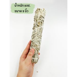 White Sage แคลิฟอร์เนีย ไวท์เสจ ใบไวท์เสจ (California White Sage) ใบจากต้นเสจ ขนาด 8-9 นิ้ว [ ร้าน กฎแรงดึงดูด ATTRACTION SHOP ]