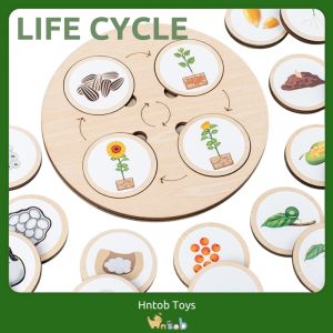Hntob Wooden Life Cycle Puzzle Board Montessori Early Learning Practical Plant Wooden Toy