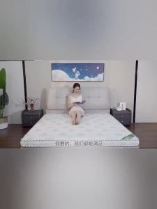 Environmental Protection Coconut Palm Fiber Mattress Hard Pad Latex Mattress 1.5 Rice 1.8 M Single Double Home Folding Economic Mattress Direct Sales