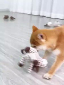 Dog Plush Toy Chewing Molars Clean Teeth Sound Relieve Boredom Accompanying Meow Toy