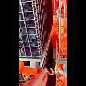 AE Direct from the manufacturer: Double-hook polyester truck tie-down strap extended and thickened brake rope roof fixing strap tensioner