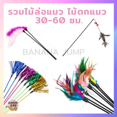 BJ Pet - ไม้แมว ไม้ล่อแมว ไม้ตกแมว ของเล่นแมว แมว สำหรับแมว ของเล่นสำหรับแมว ของสัตว์เลี้ย