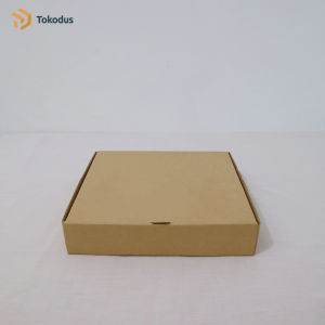 ( ISI 20 ) Dus Pizza polos baru 24x24x5 cm - Tokodus Pagarsih