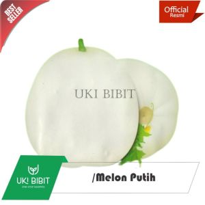 ( 3 Butir ) Benih Biji Melon Putih | Honeydew